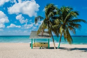 Cabana And Oconut Palm Trees On A Caribbean Beach